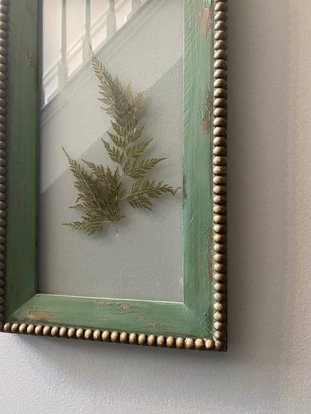 Vintage set of framed fern art
