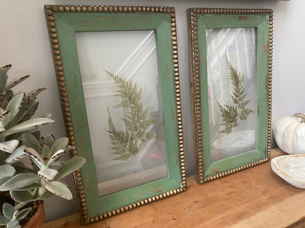 Vintage set of framed fern art