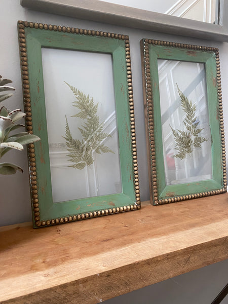 Vintage set of framed fern art
