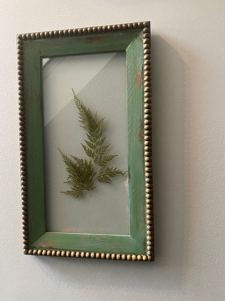 Vintage set of framed fern art